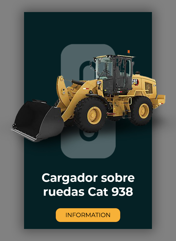 Cargador sobre ruedas Cat 938